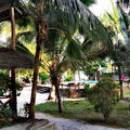 Hidden Gem in Pongwe - 2 Charming Villas with Land - Photo 7